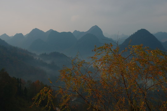 山