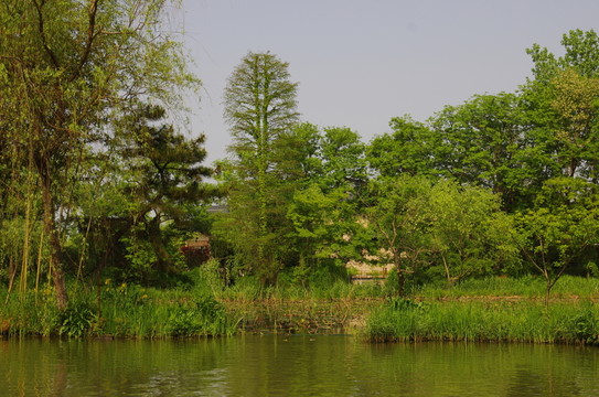瘦西湖