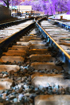美麗的之字形線路 鐵路
