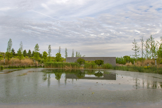濕地公園