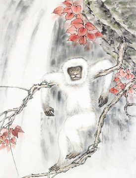 白猿 猿猴 紅葉 國(guó)畫 工筆