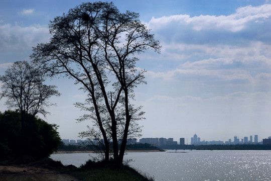 城市風(fēng)景 遠(yuǎn)眺