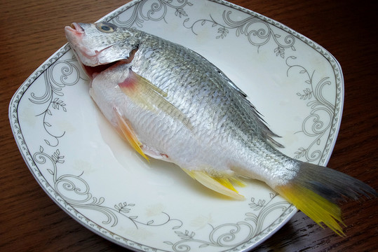 黃腳立魚