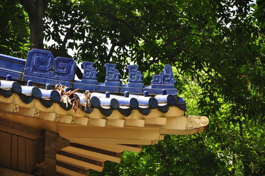 中山紀(jì)念堂