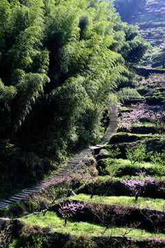 高山臺(tái)階