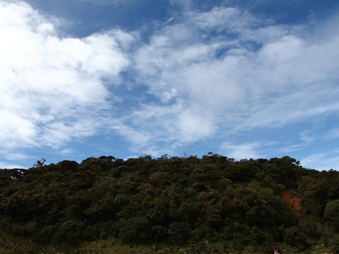 霍頓平原