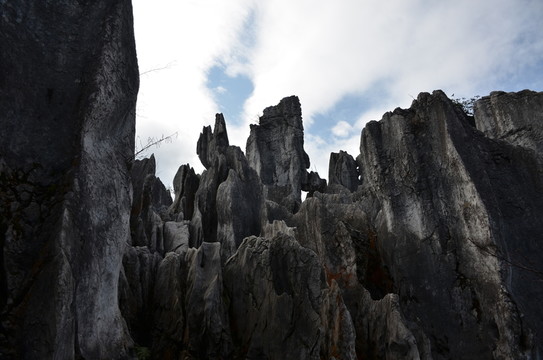 石林 山石