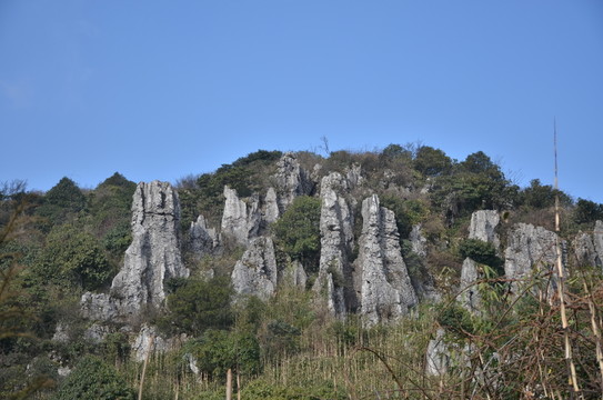 藍(lán)天下的石林