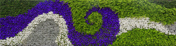 花墻 （大畫幅）