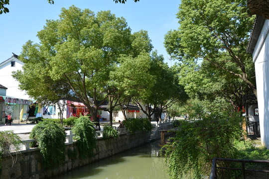 樹林
