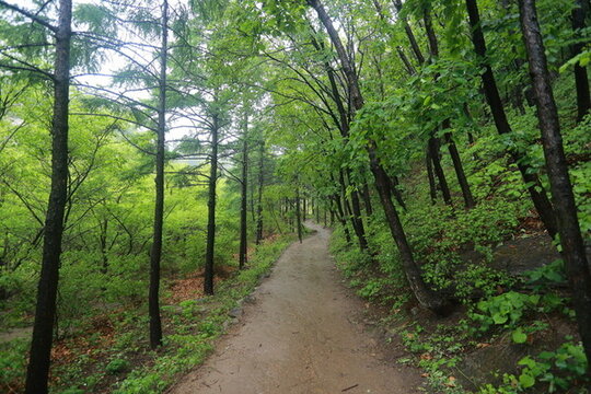 雨中 云蒙山 小黃山