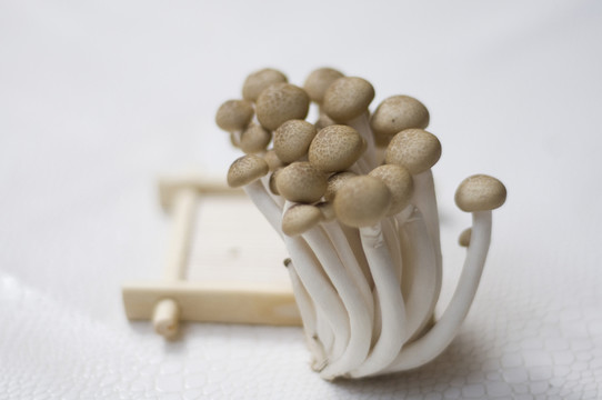蟹味菇