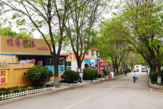 校園環(huán)境