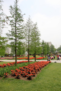 花地