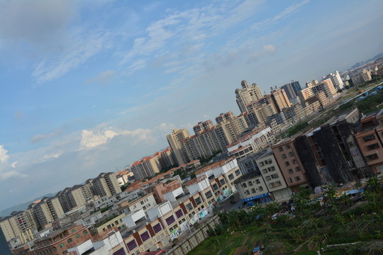 沙田全景