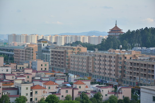 沙田全景