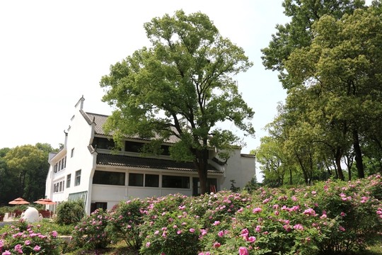 玫瑰花園