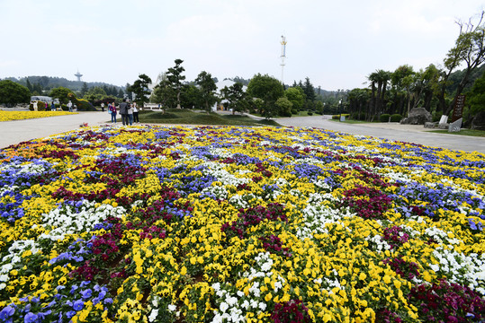 花壇