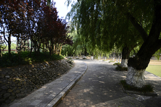 林蔭小路