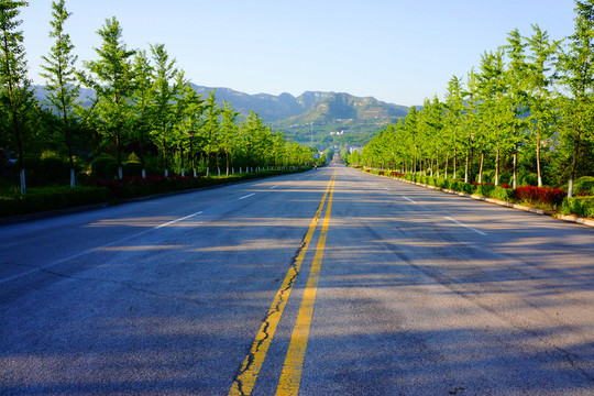 柏油路
