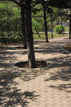 小路