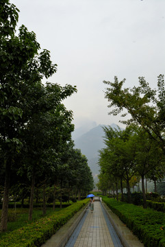 通向大山的路