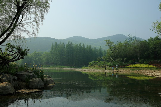 泉山森林公園