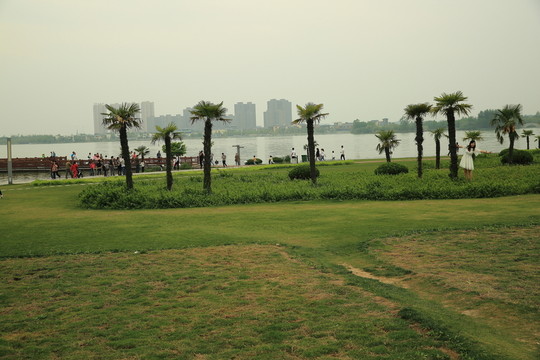 大龍湖