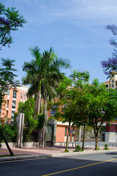 城市風(fēng)光
