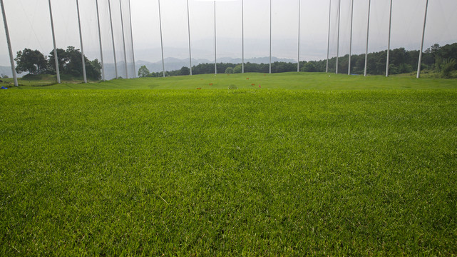 綠茵球場