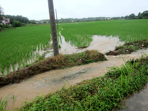 水淹田
