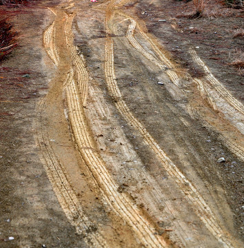 泥路車轍