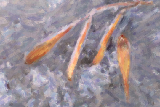 裝飾畫(huà)