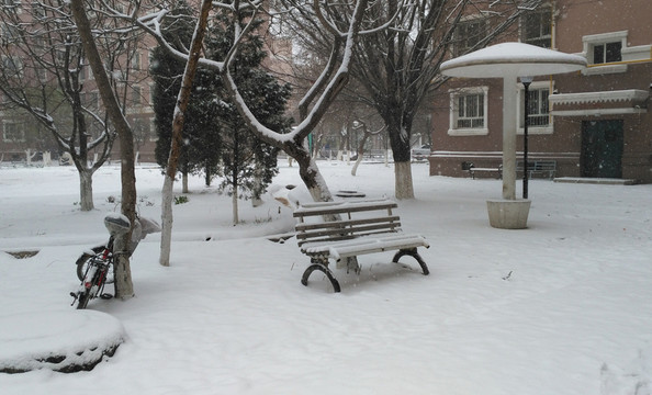 小區(qū)雪景