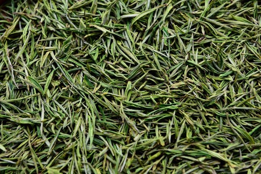 綠茶