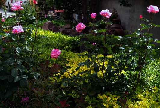 花園