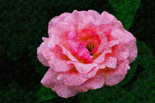 抽象藝術(shù)花卉