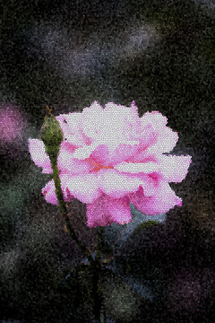 抽象藝術(shù)花卉