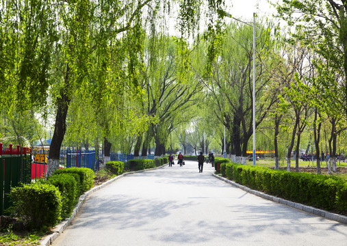 公園路