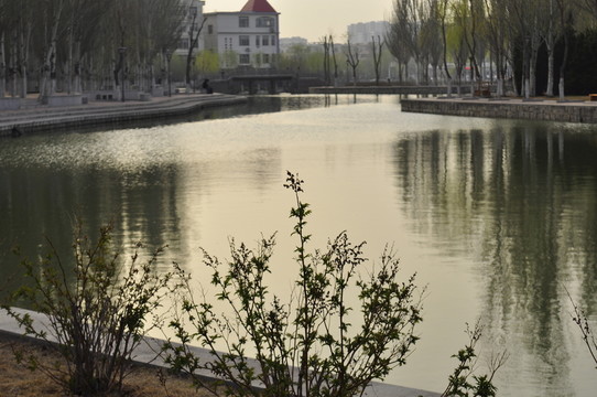 烏海公園湖泊