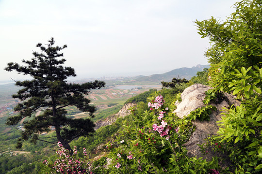 荒山