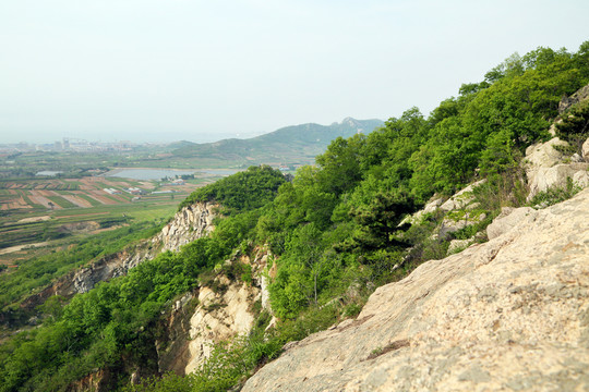 遠山