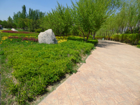 公園景色