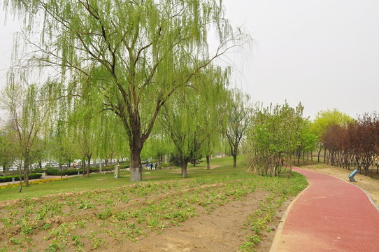運(yùn)河公園