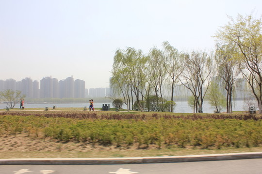 公園隨手拍