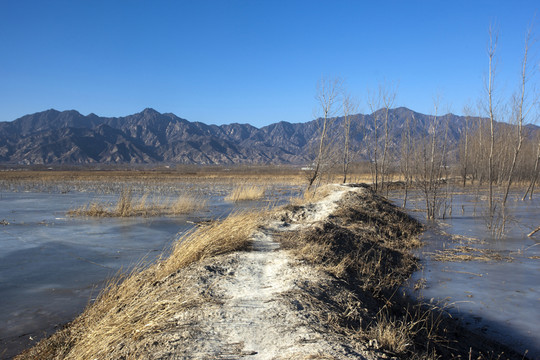 小路