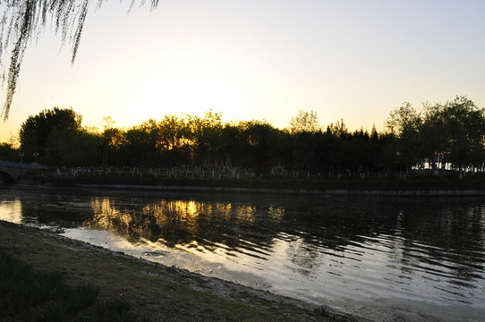 大運(yùn)河森林公園