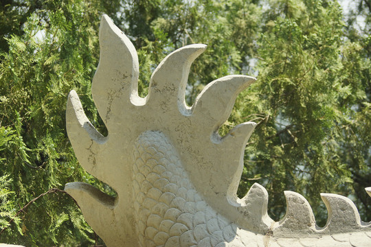 龍尾