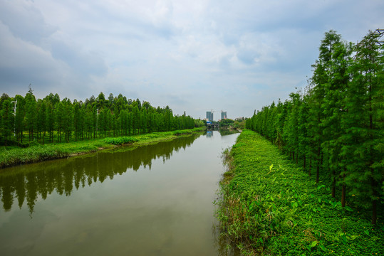 小河綠樹
