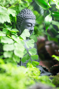 盆景